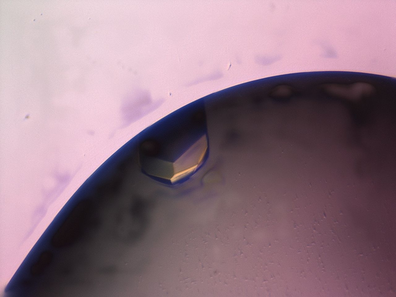 03z1_D9_HighContrast_9.jpg