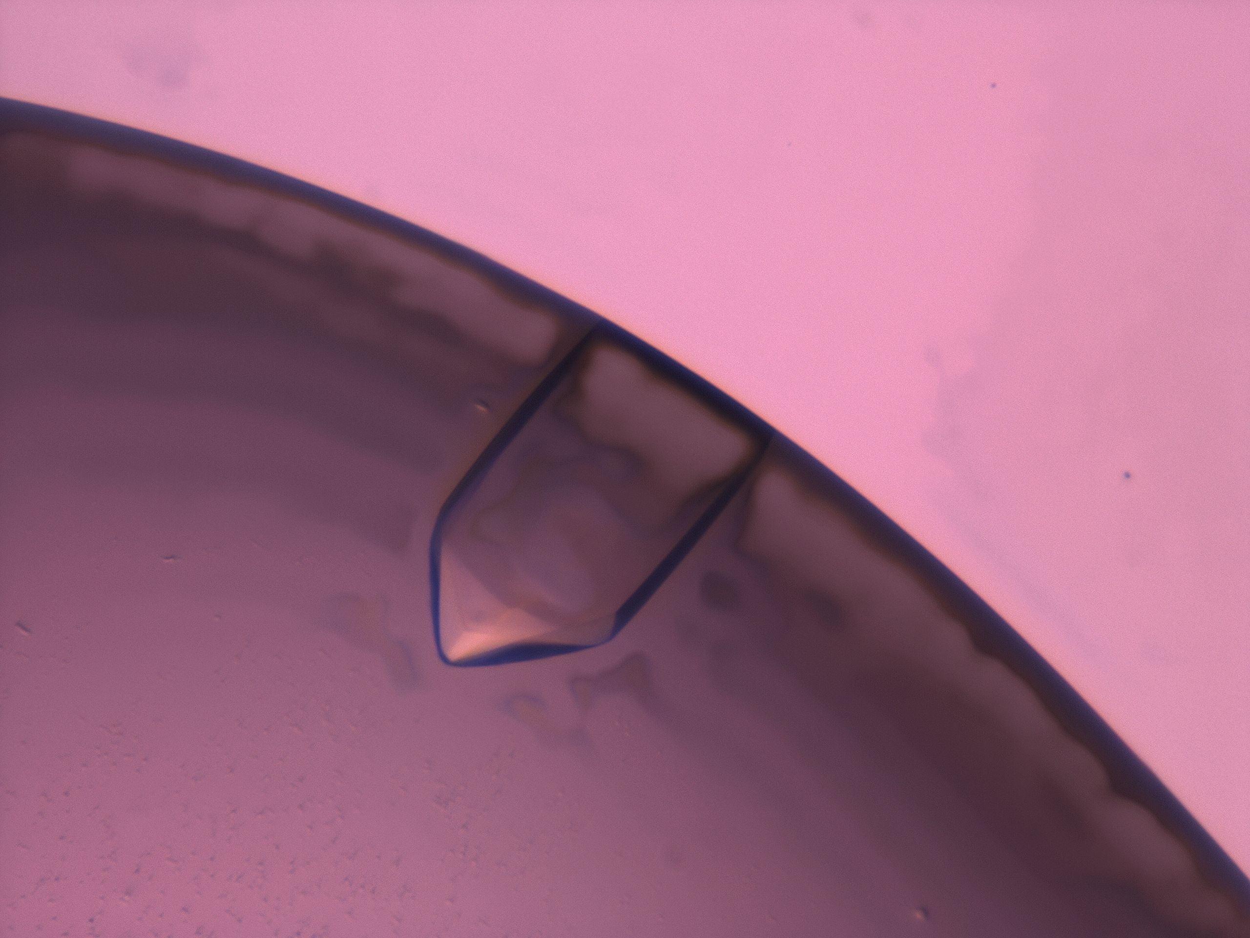 03z1_D10_HighResolution_9.jpg