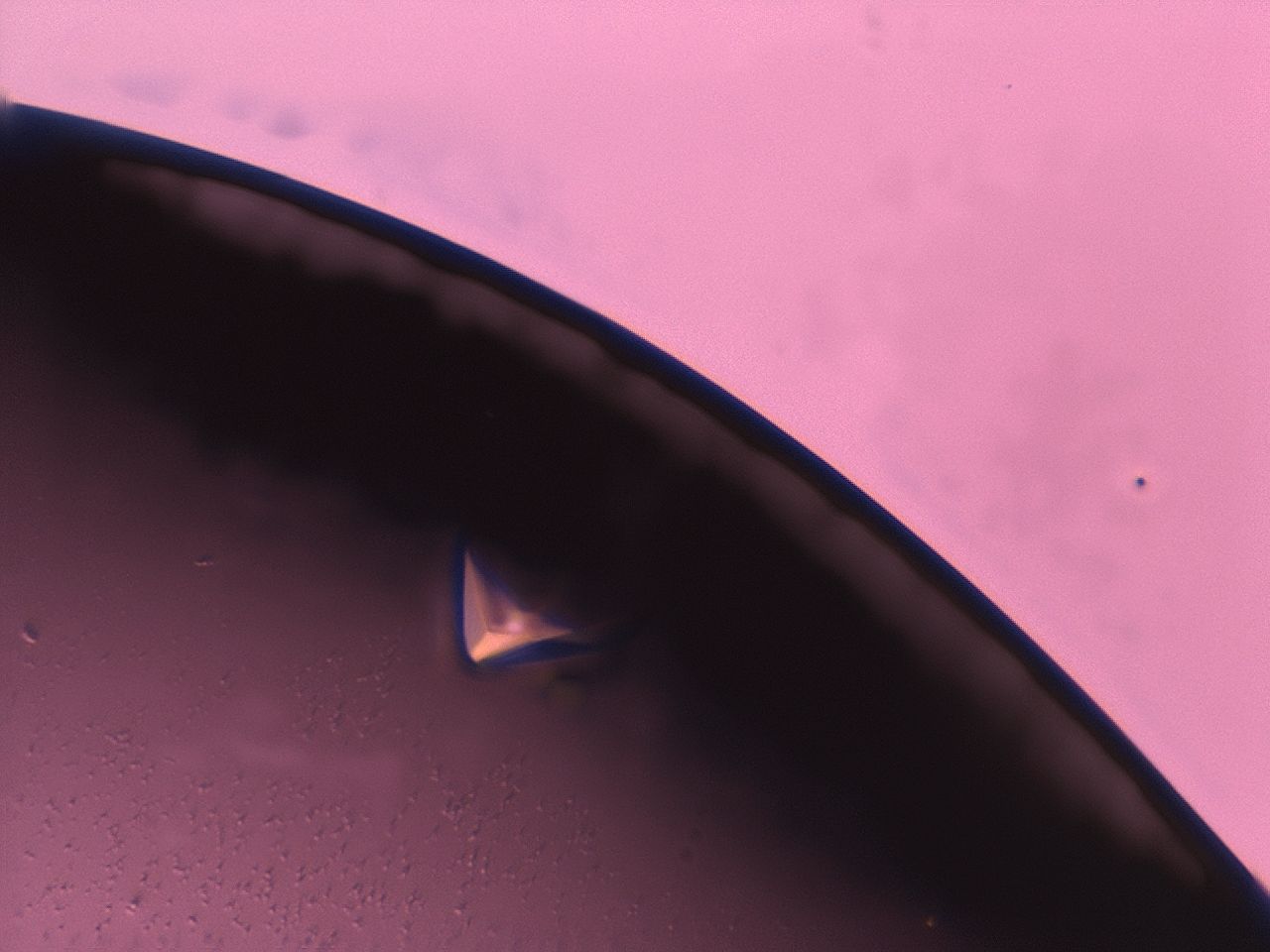 03z1_D10_HighContrast_9.jpg