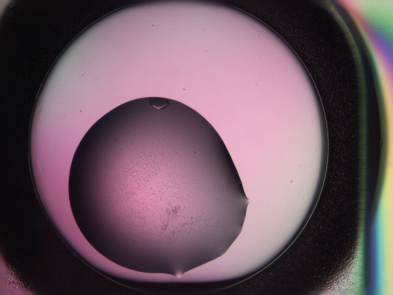 03z1_E5_ImagerDefaults_9.jpg
