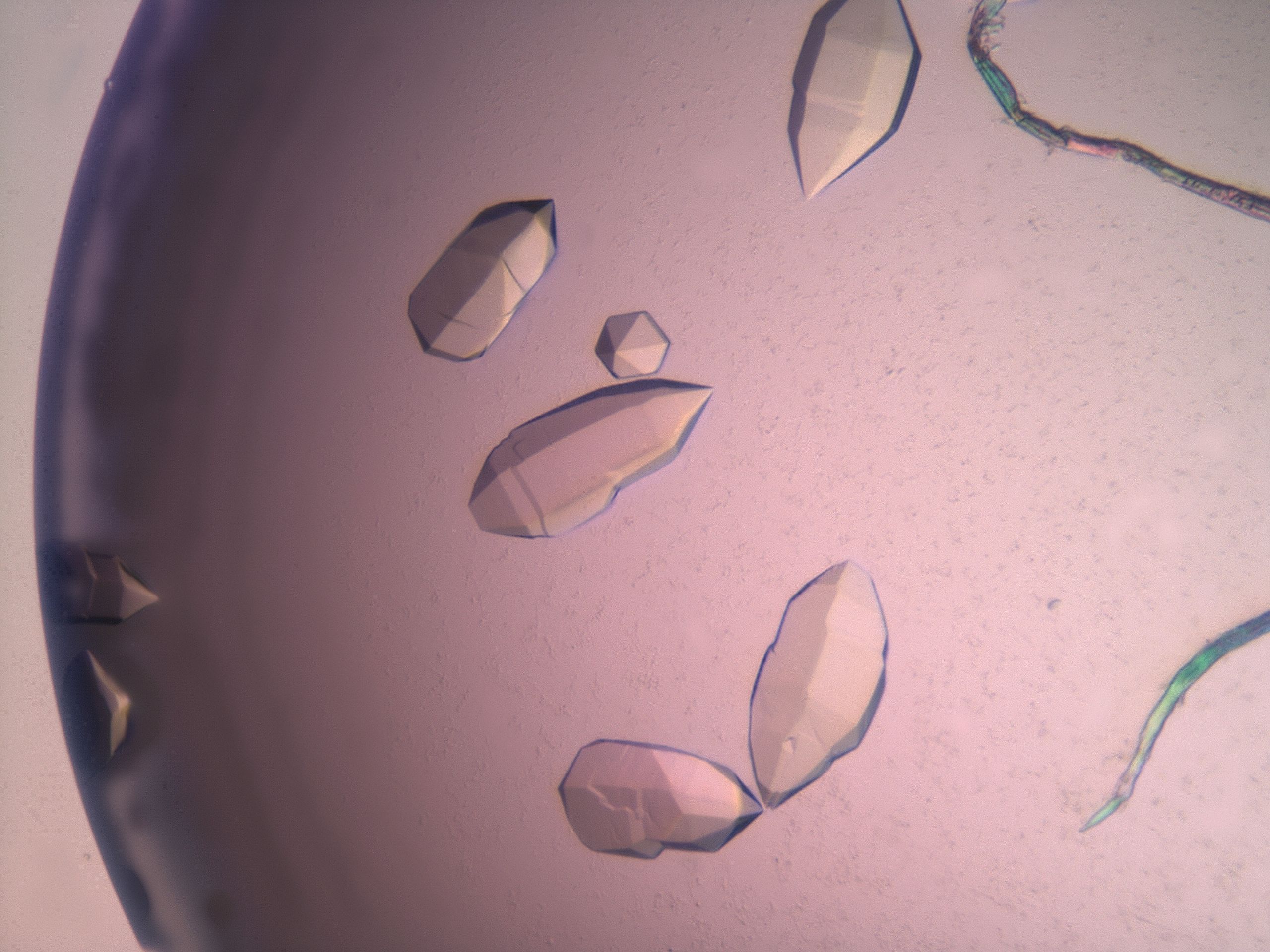 03z1_F9_HighResolution_9.jpg