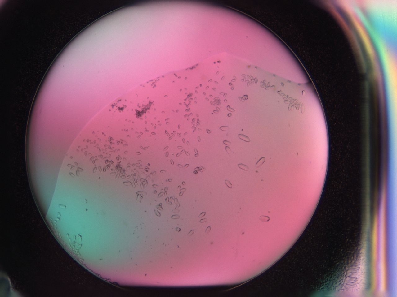 03z1_F11_ImagerDefaults_9.jpg