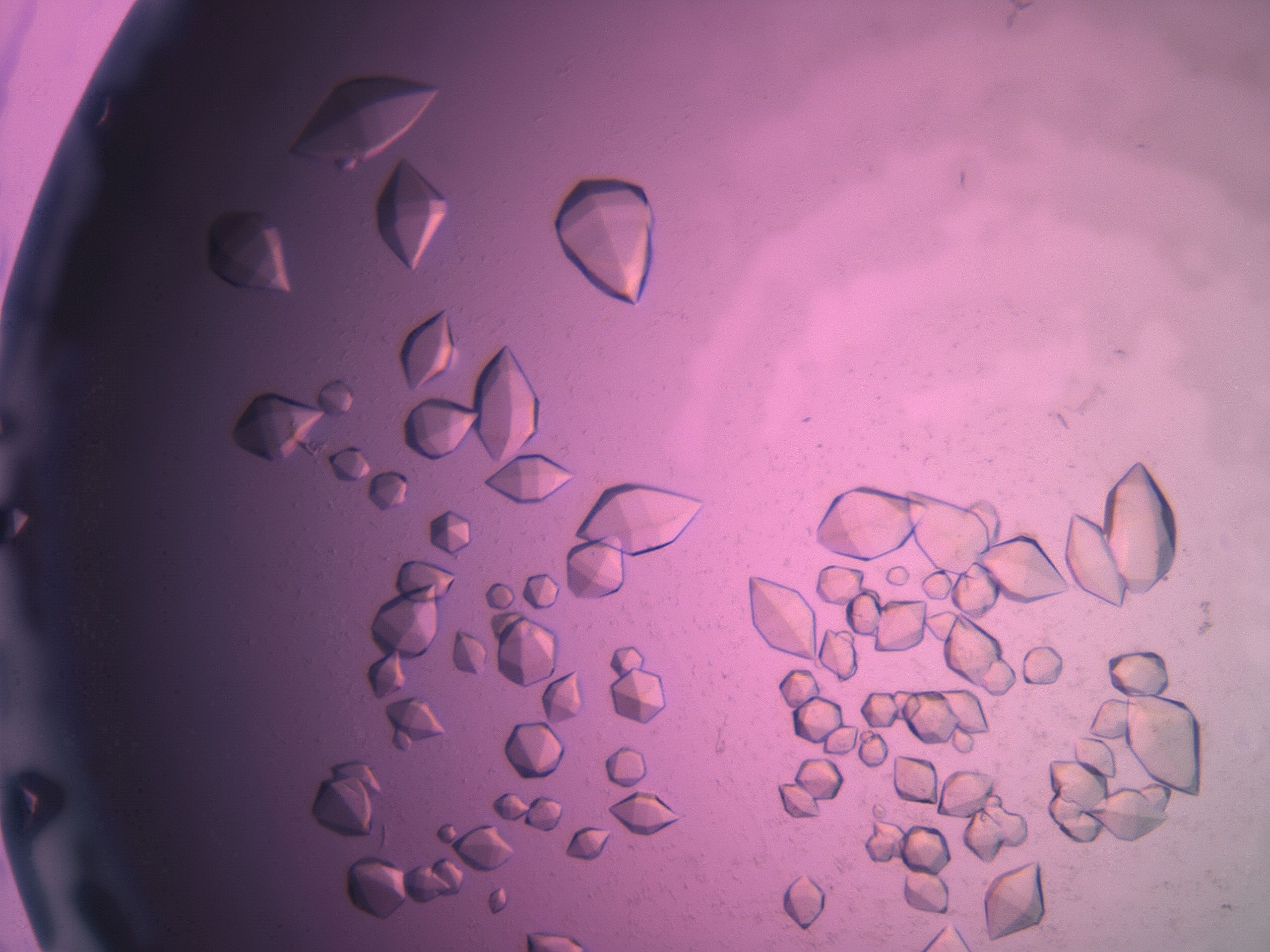 03z1_G9_HighResolution_9.jpg