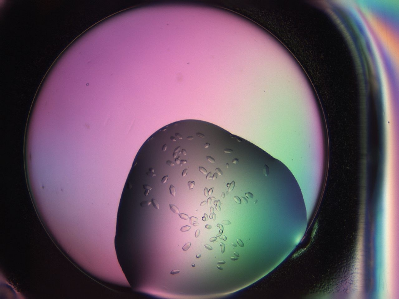 03z1_G10_ImagerDefaults_9.jpg