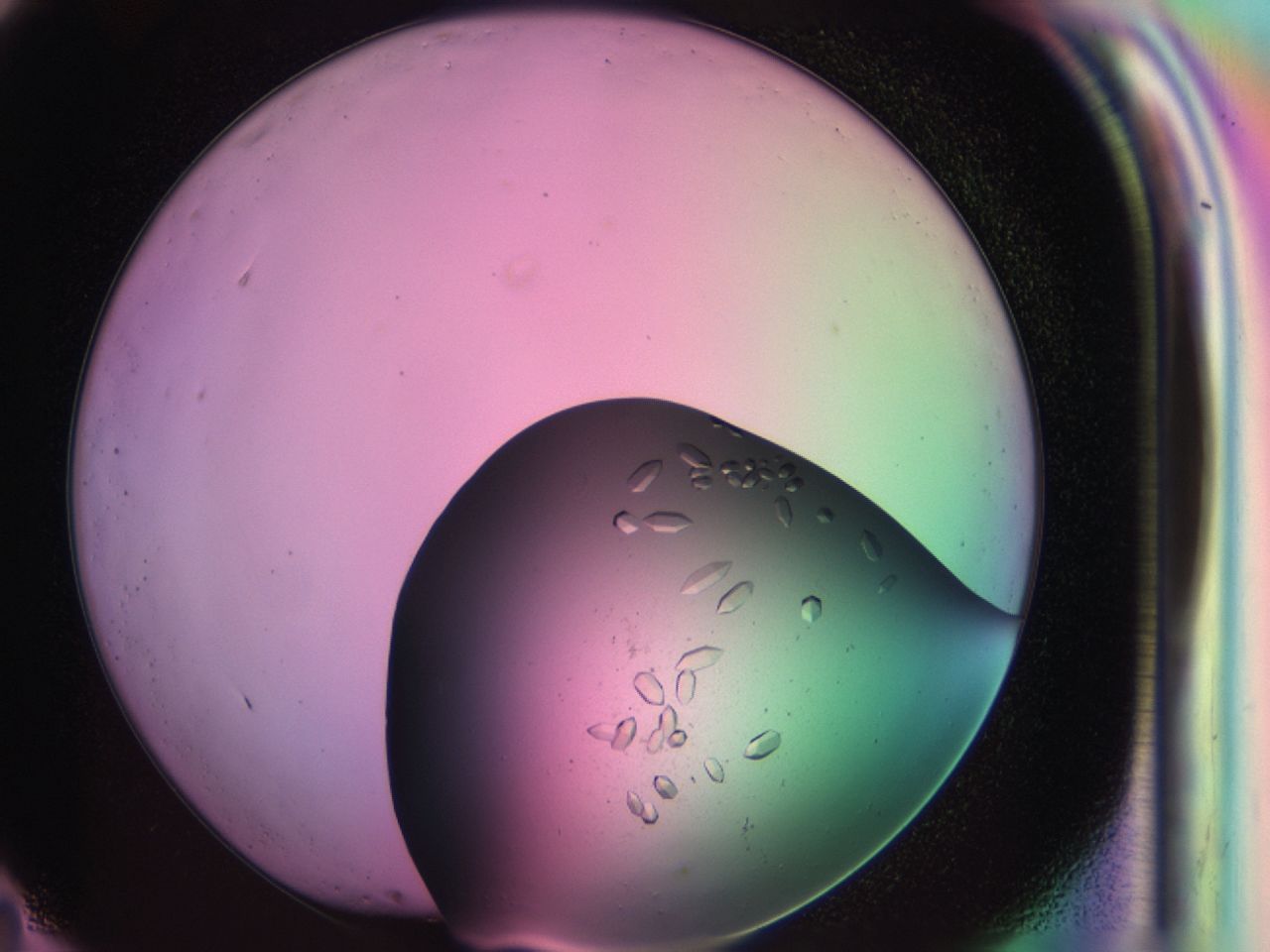 03z1_G11_ImagerDefaults_9.jpg