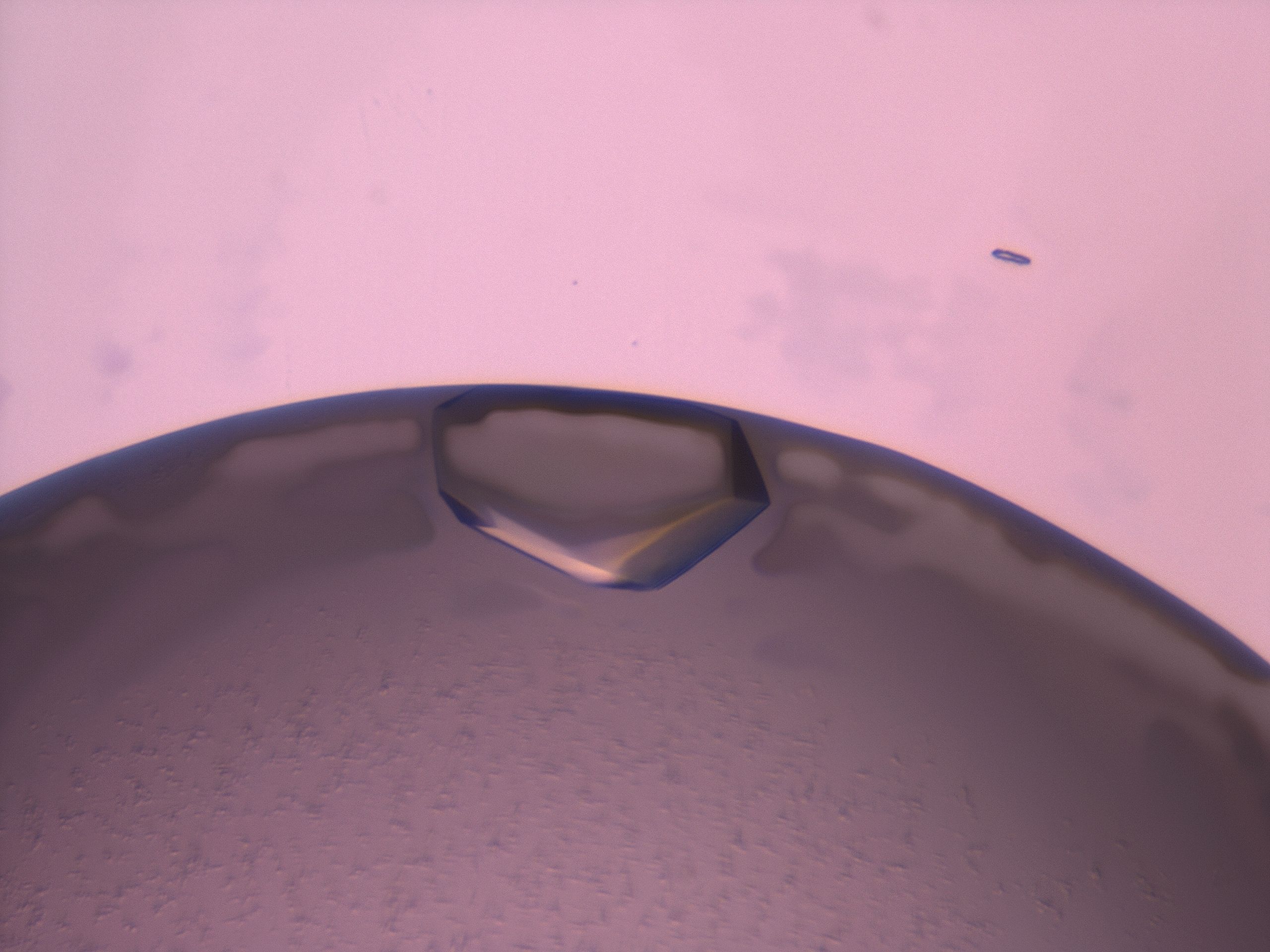 03z1_E5_HighResolution_9.jpg