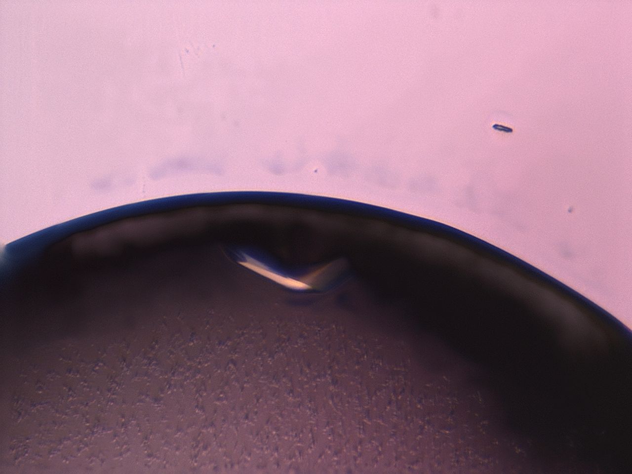 03z1_E5_HighContrast_9.jpg