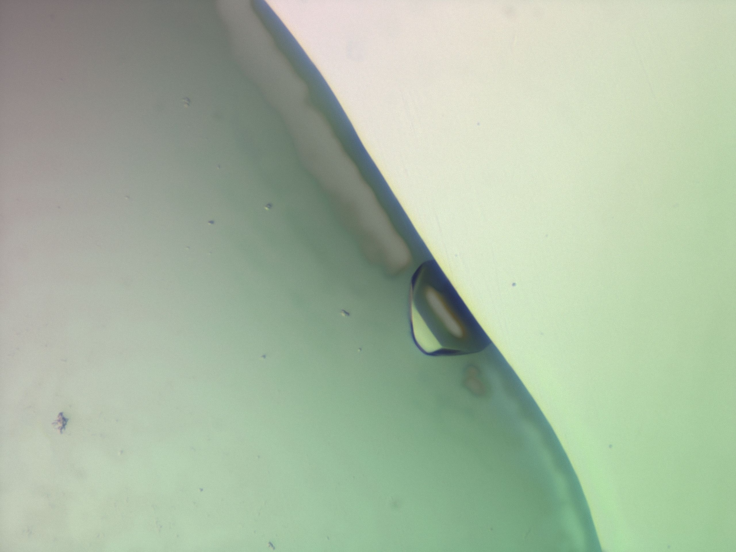 03z1_F7_HighResolution_9.jpg