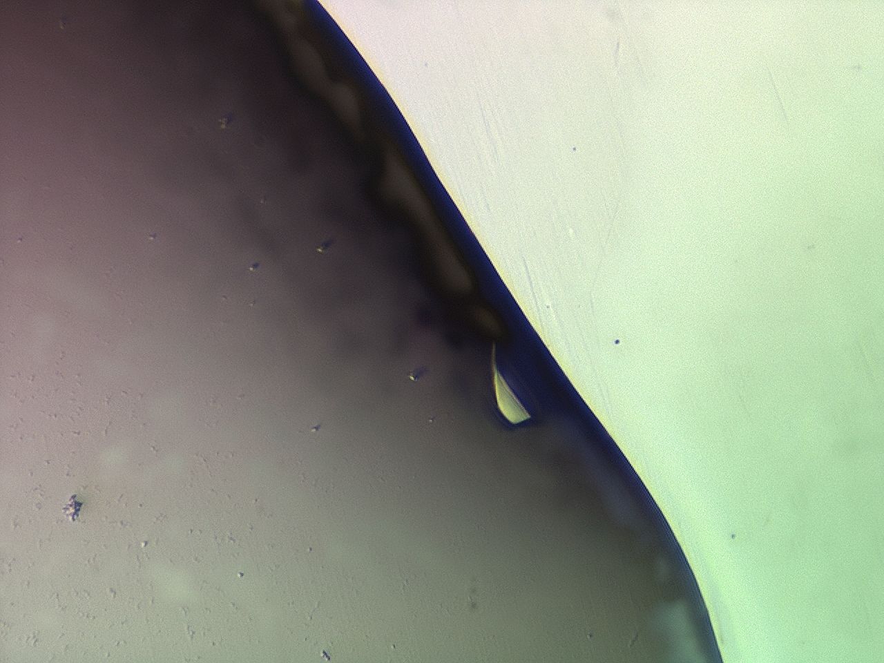 03z1_F7_HighContrast_9.jpg