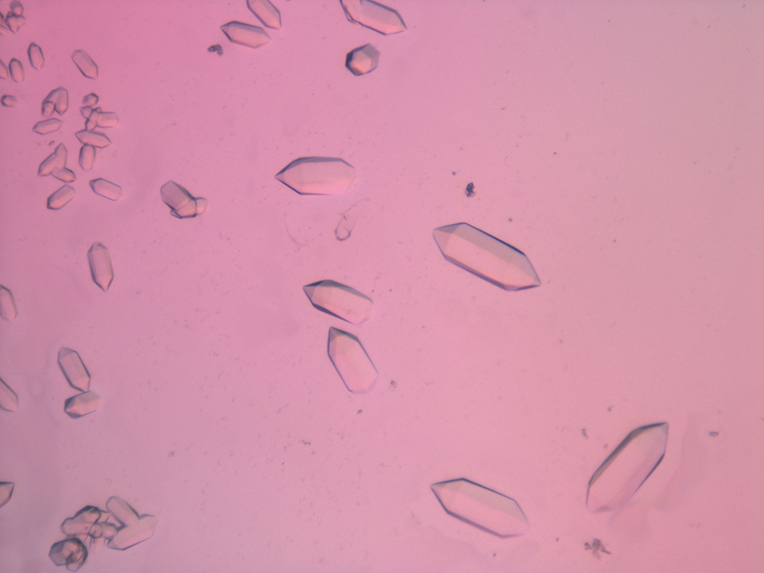 03z1_F11_HighResolution_9.jpg