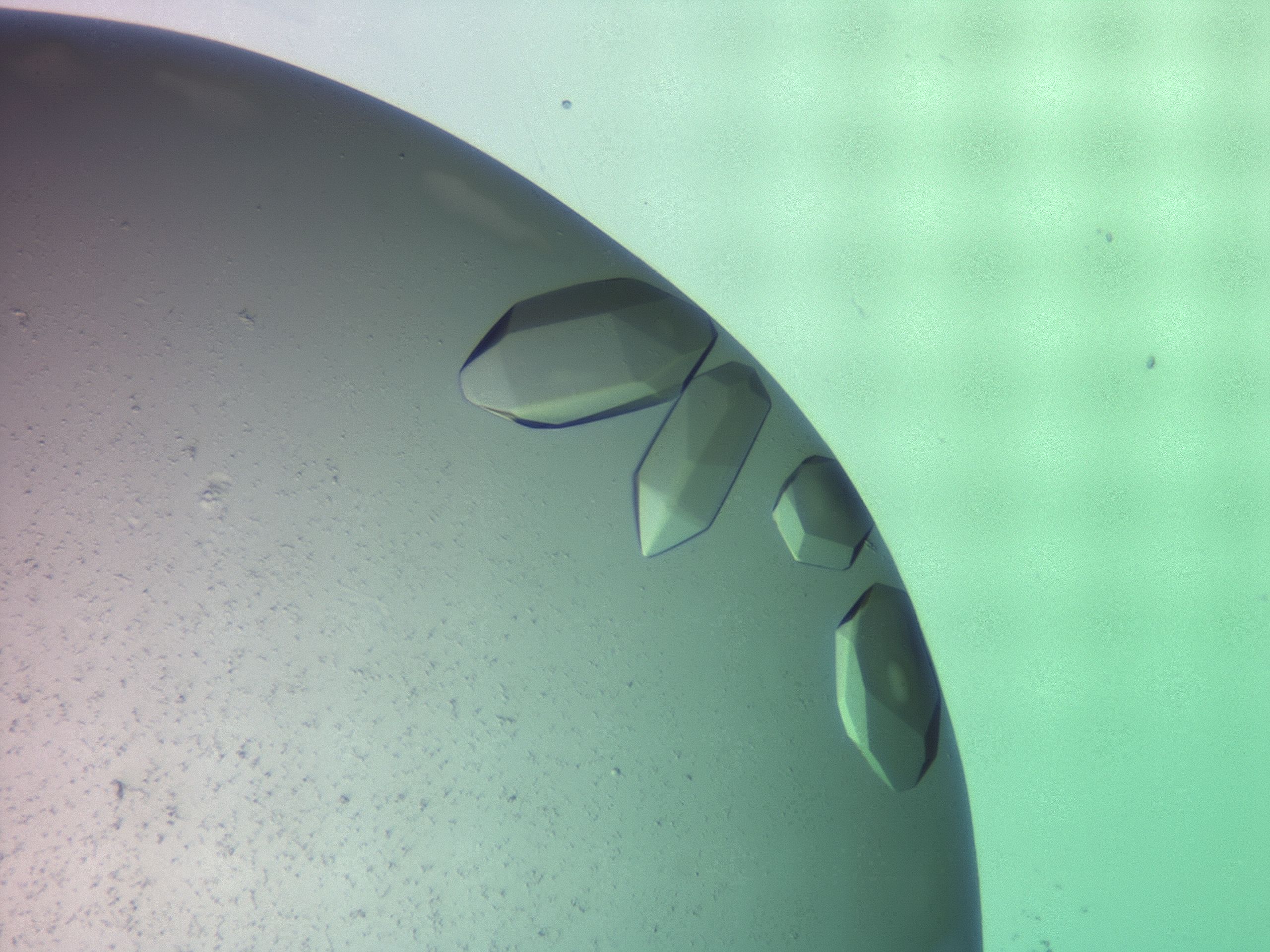 03z1_H2_HighResolution_9.jpg