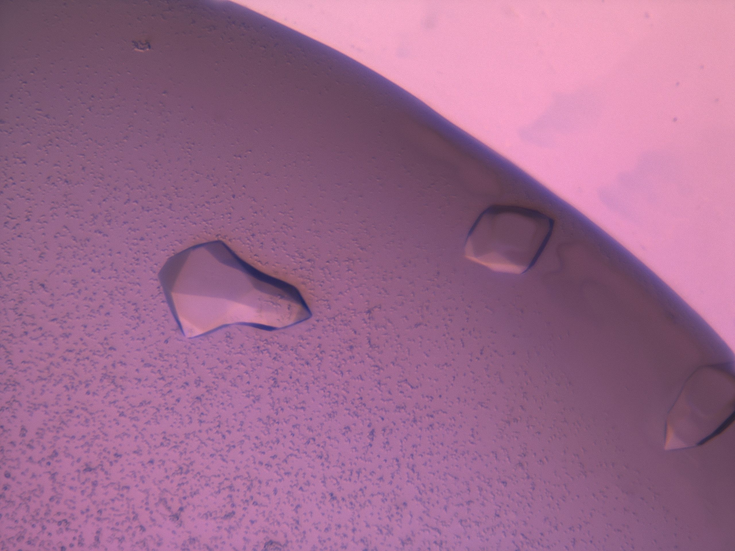03z1_H3_HighResolution_9.jpg
