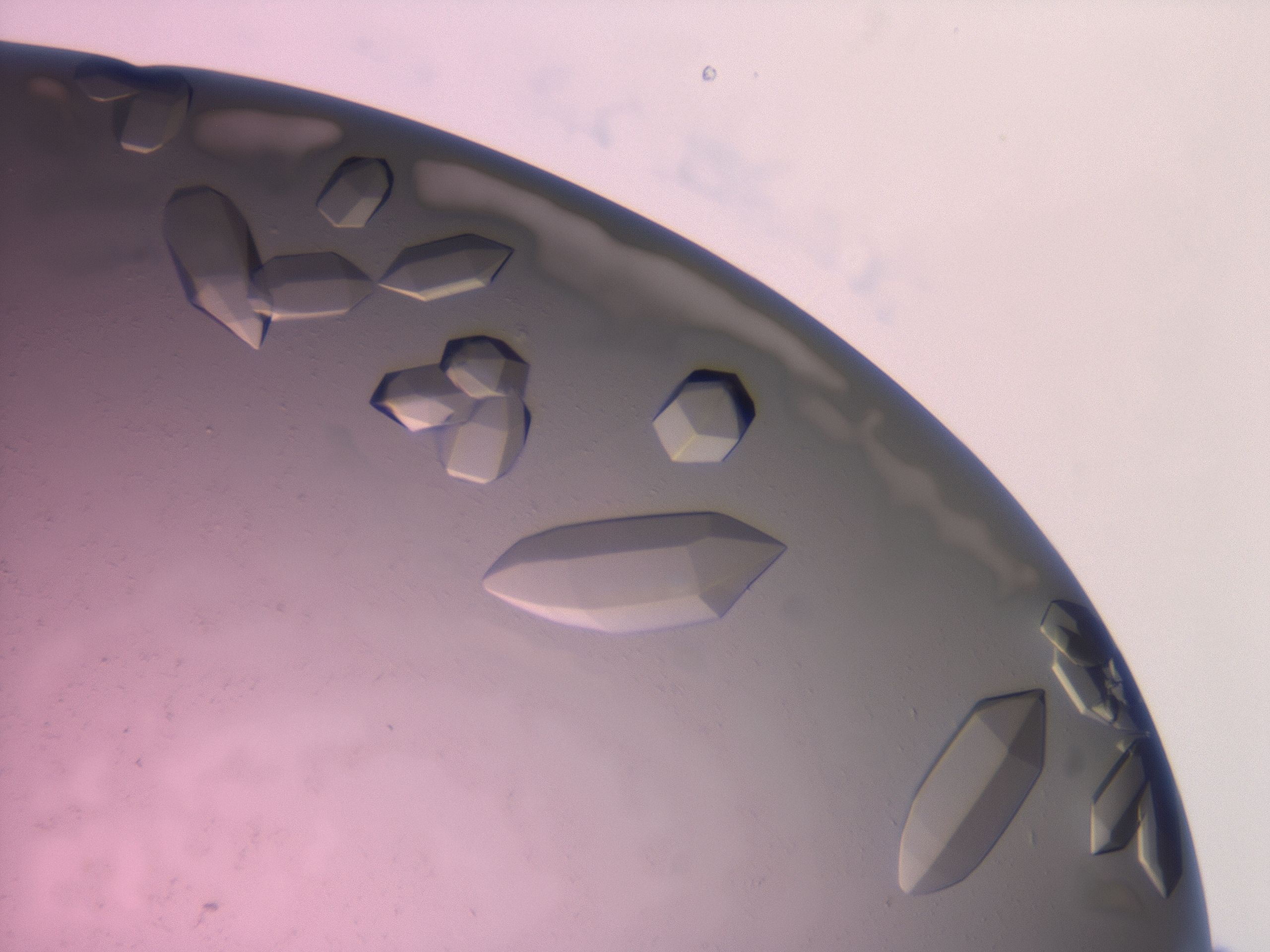 03z1_H6_HighResolution_9.jpg