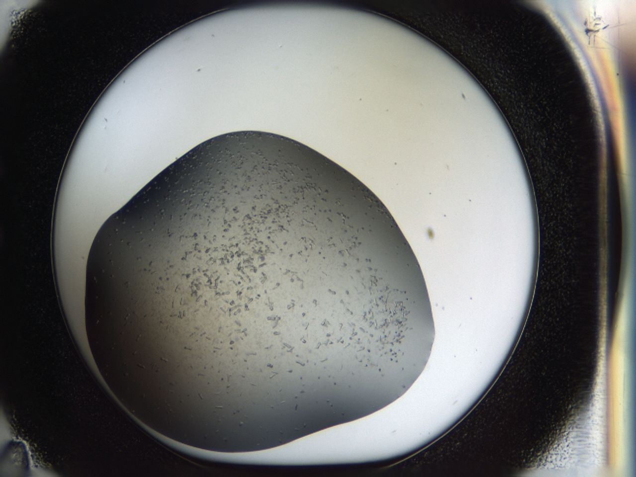 03z3_C11_ImagerDefaults_8.jpg