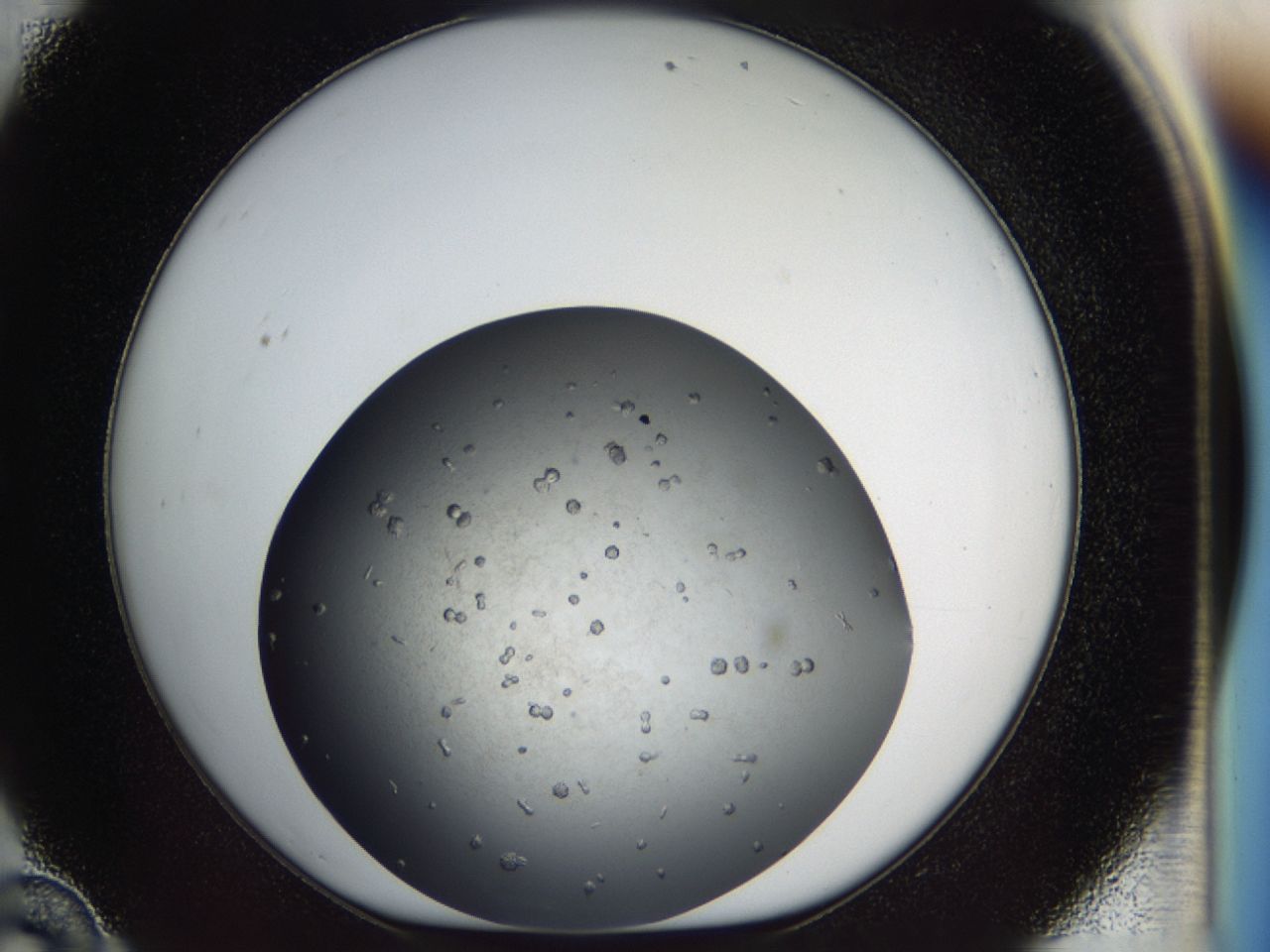 03z3_C10_ImagerDefaults_8.jpg