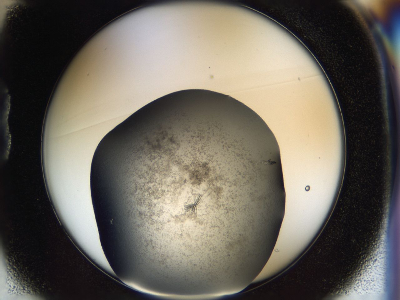 03z3_B1_ImagerDefaults_9.jpg