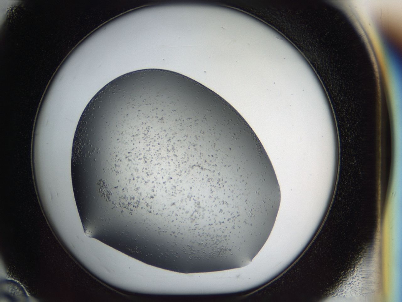 03z3_D10_ImagerDefaults_6.jpg