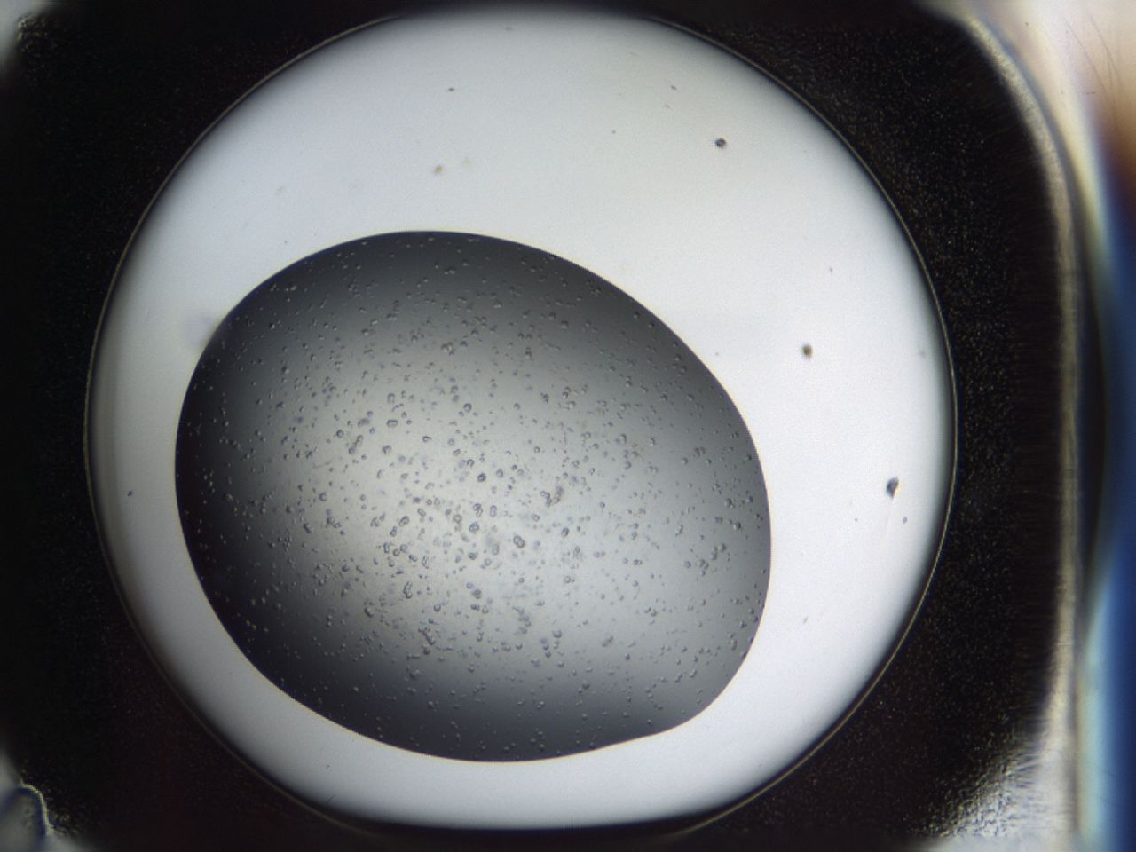 03z3_D11_ImagerDefaults_7.jpg