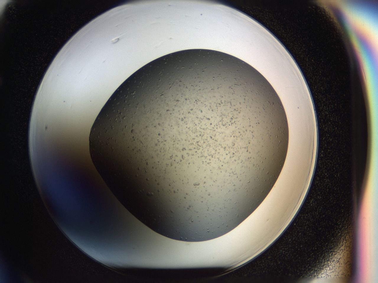 03z3_F6_ImagerDefaults_6.jpg