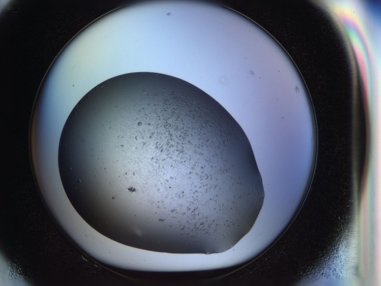 03z3_F8_ImagerDefaults_6.jpg