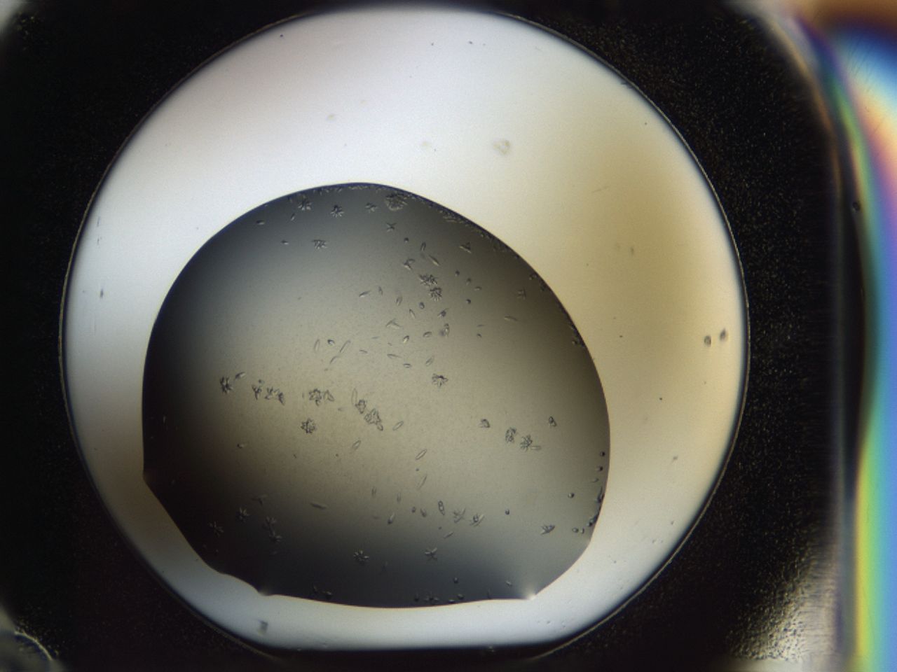 03z3_F10_ImagerDefaults_7.jpg