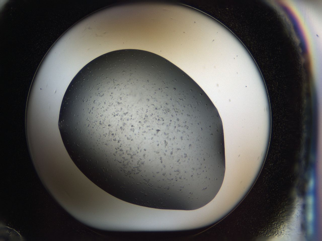 03z3_F12_ImagerDefaults_6.jpg