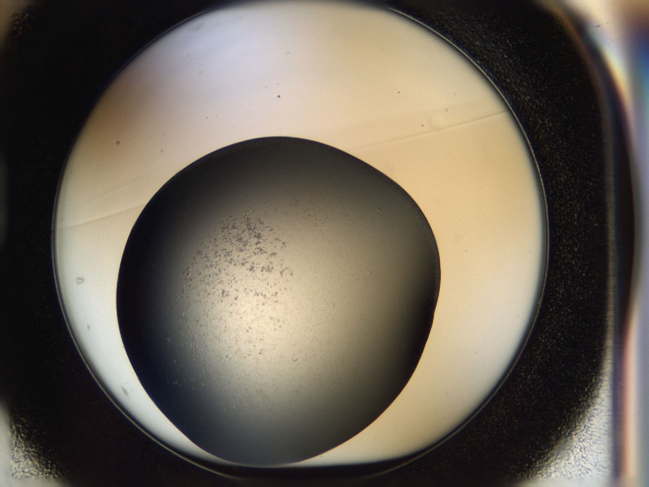 03z4_D1_ImagerDefaults_6.jpg