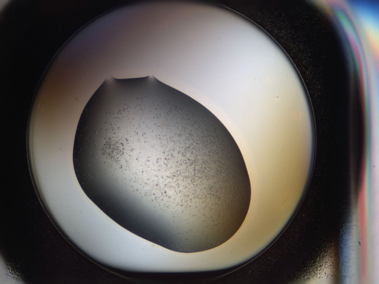 03z6_F7_ImagerDefaults_6.jpg
