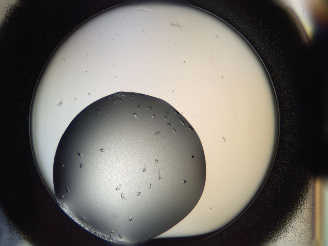 03za_C7_ImagerDefaults_9.jpg