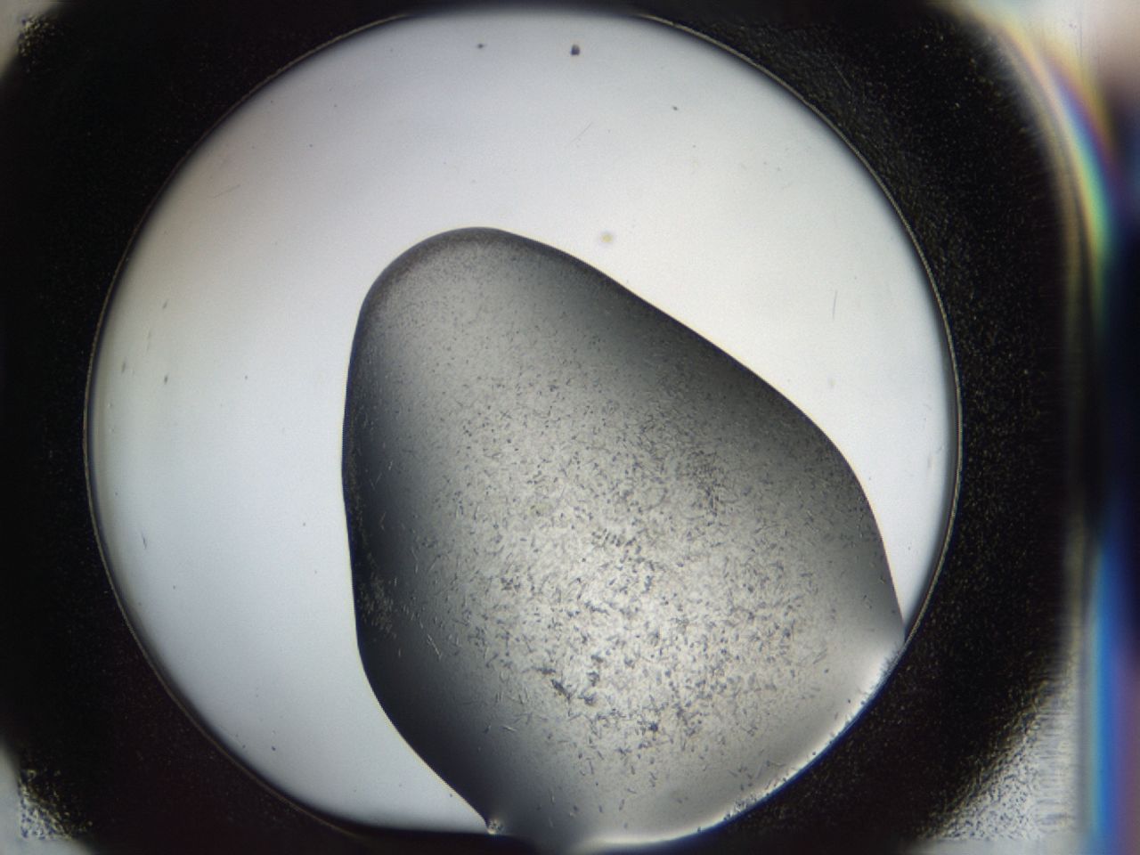 03za_D9_ImagerDefaults_6.jpg