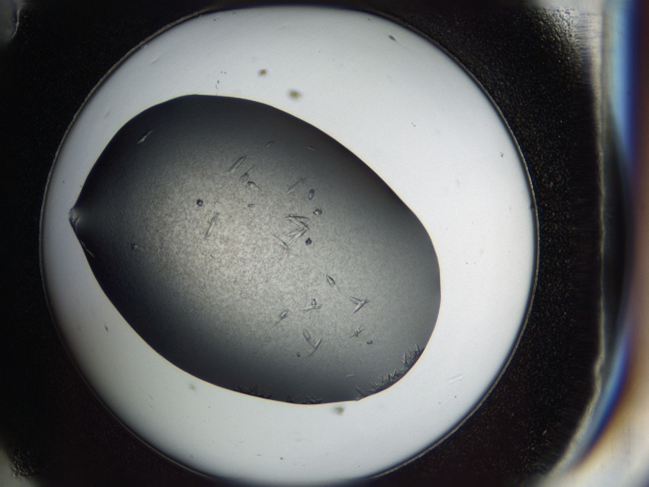 03za_D11_ImagerDefaults_8.jpg