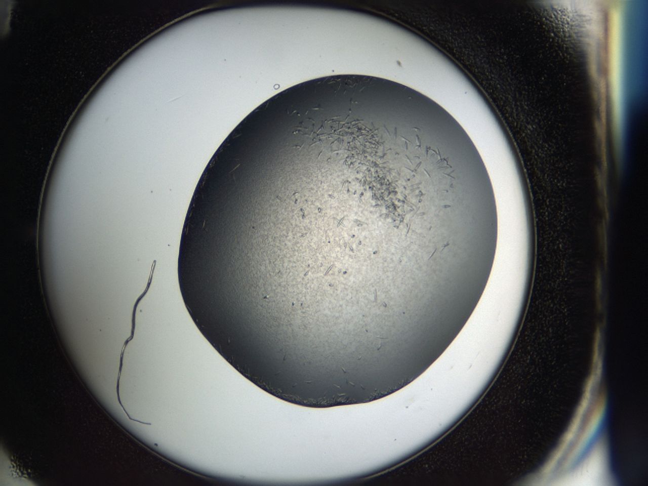 03za_E11_ImagerDefaults_7.jpg