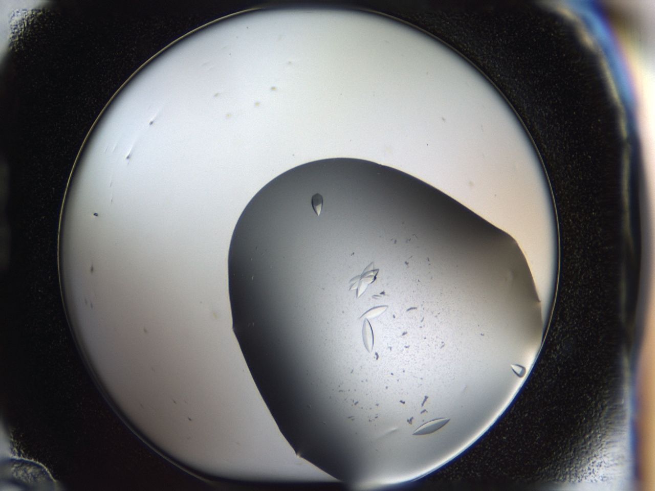 03zi_B12_ImagerDefaults_8.jpg