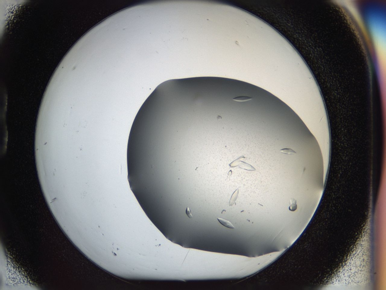 03zi_B6_ImagerDefaults_8.jpg