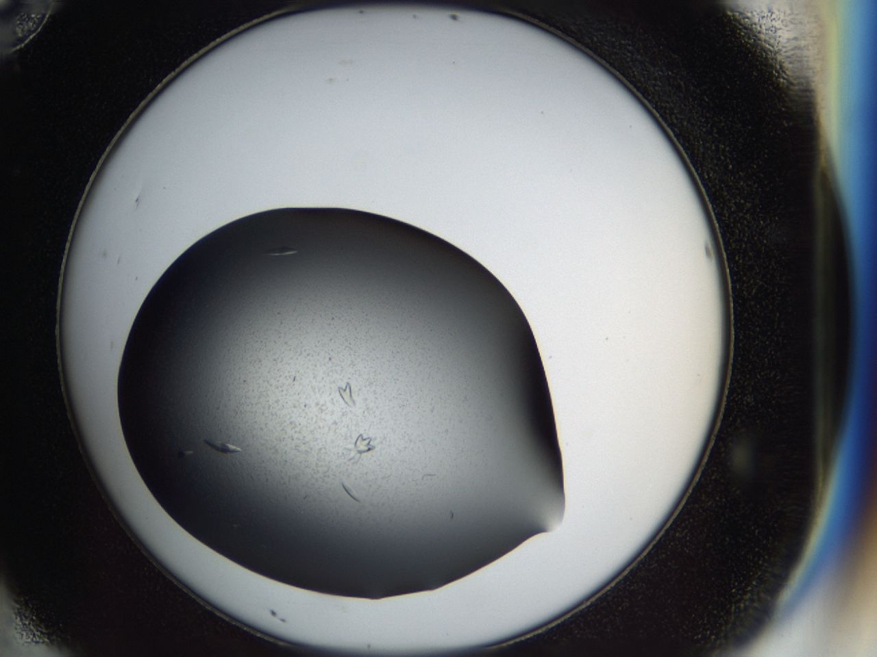 03zi_D10_ImagerDefaults_7.jpg