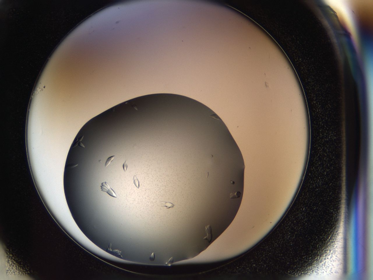 03zi_F1_ImagerDefaults_8.jpg