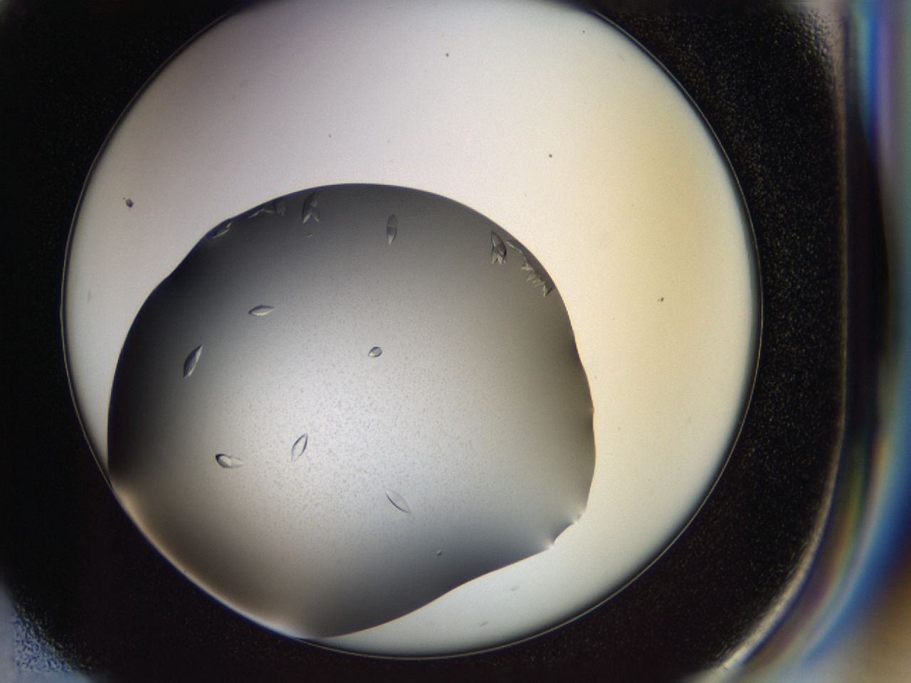 03zi_F1_ImagerDefaults_7.jpg