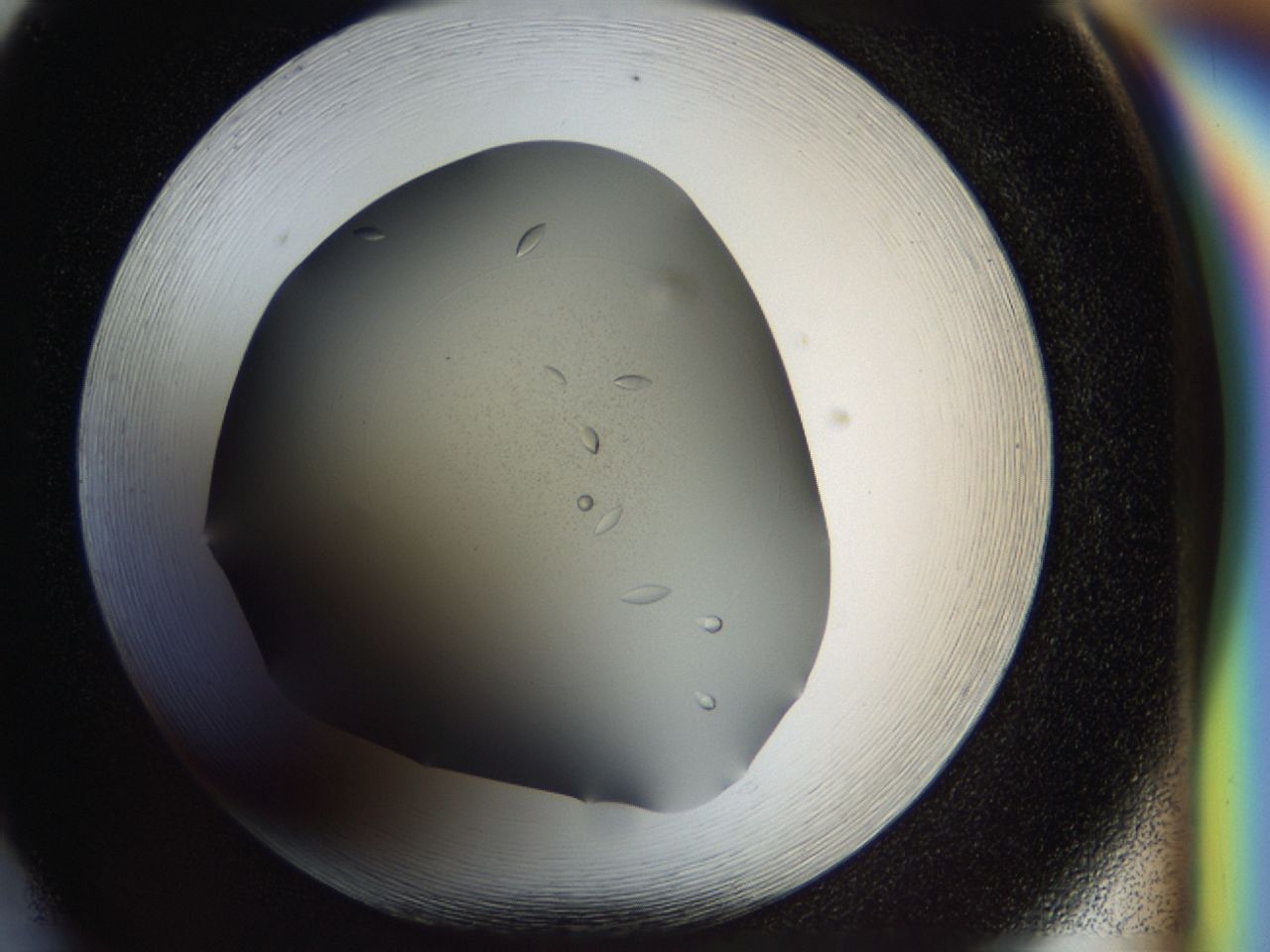 03zi_F5_ImagerDefaults_6.jpg