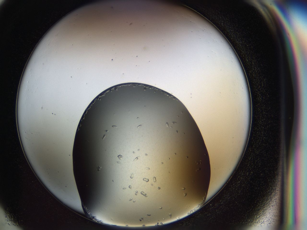 03zi_G1_ImagerDefaults_6.jpg