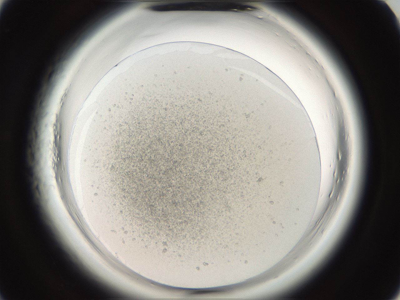 folderID665_plateID1665_batchID6989_wellNum7_profileID1_d1_r110733_ef.jpg