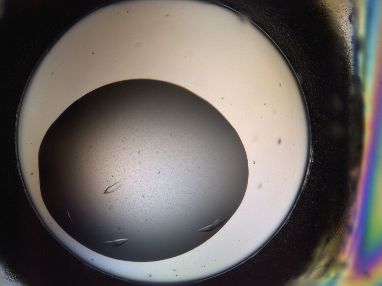 03zi_H11_ImagerDefaults_8.jpg