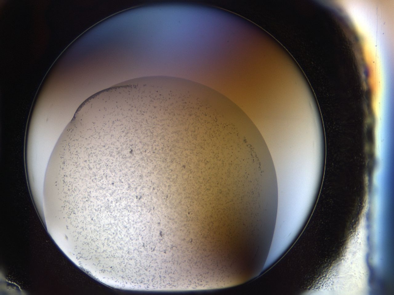 03zi_H12_ImagerDefaults_6.jpg