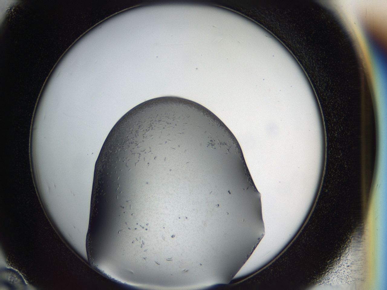 03zj_D10_ImagerDefaults_6.jpg