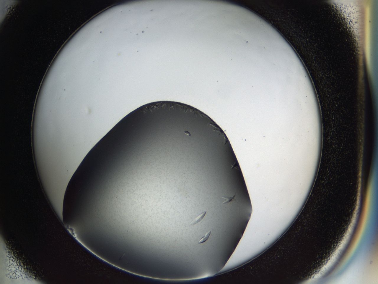 03zj_D4_ImagerDefaults_8.jpg