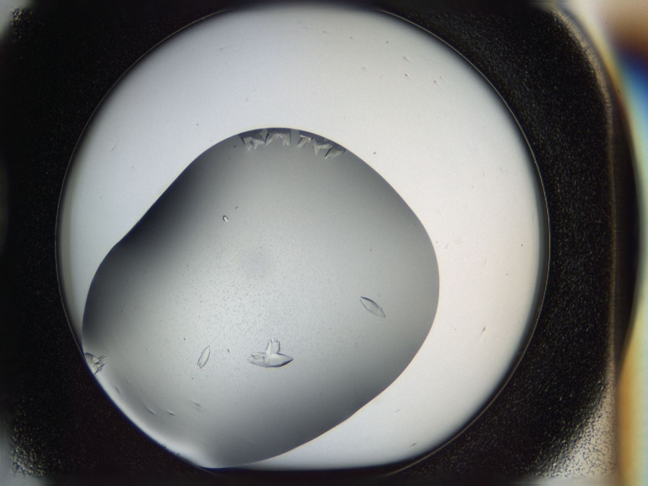 03zj_D5_ImagerDefaults_8.jpg