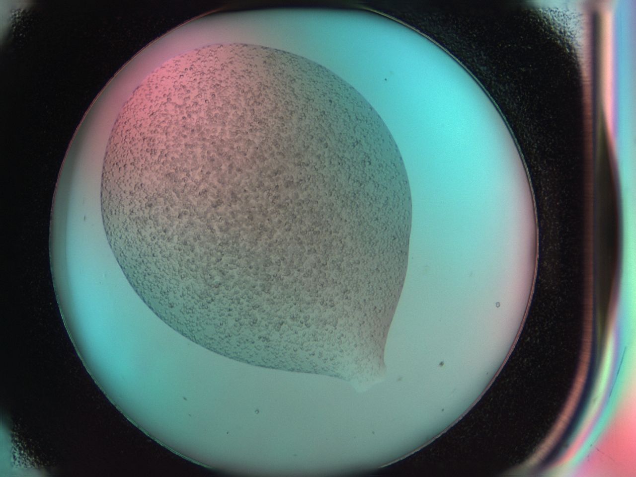 03zk_C9_ImagerDefaults_6.jpg