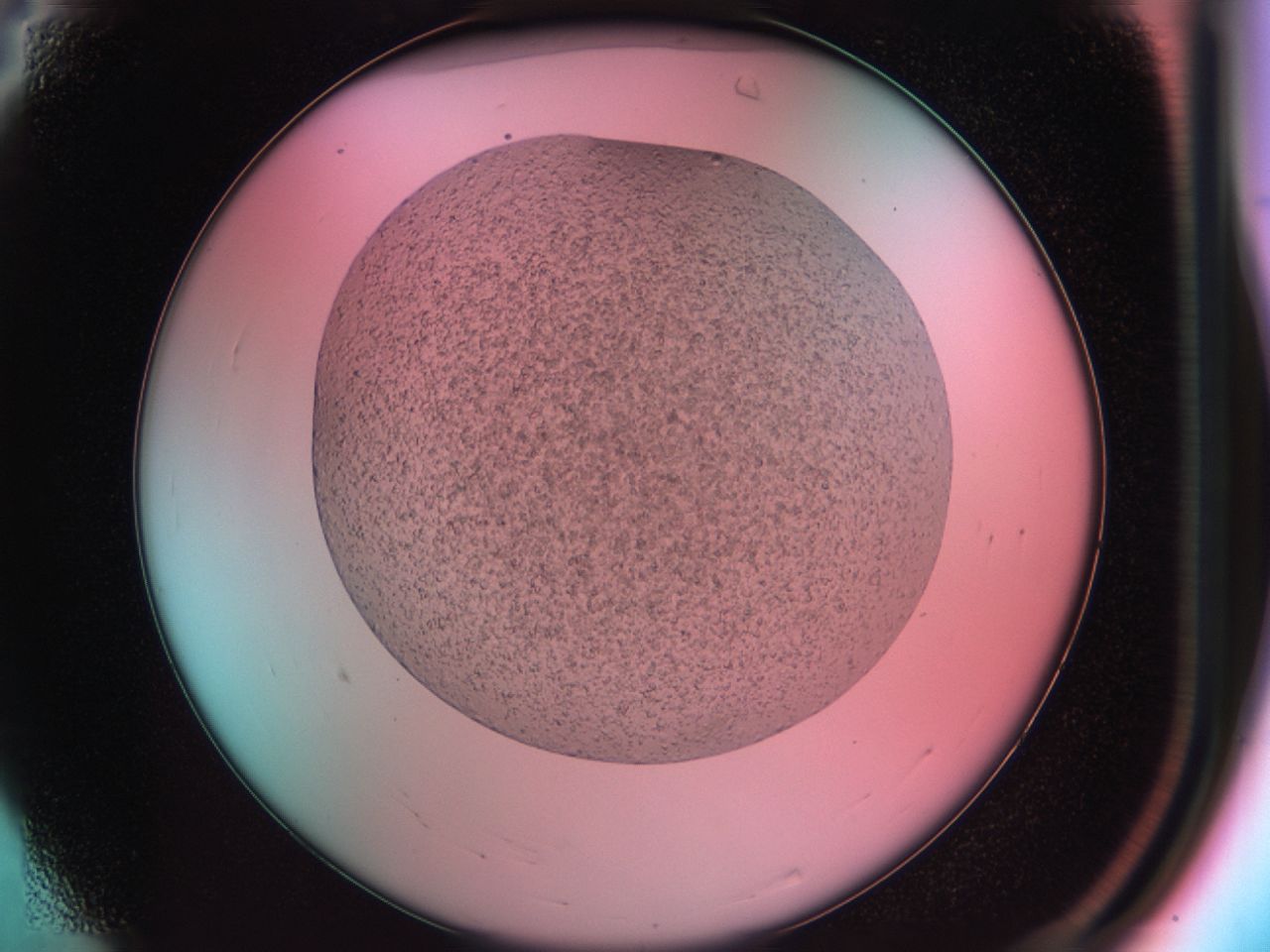 03zk_A4_ImagerDefaults_6.jpg