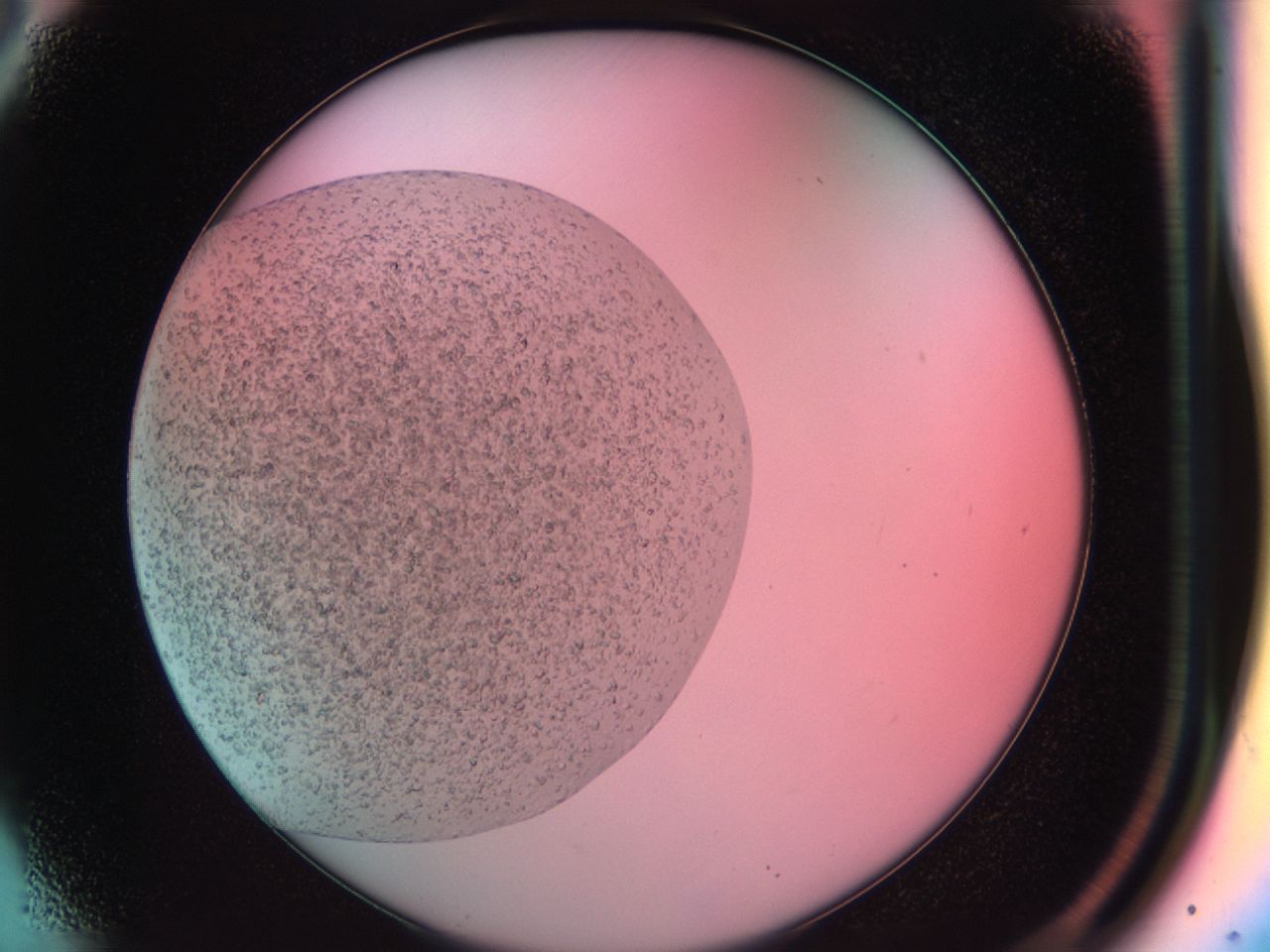 03zl_A6_ImagerDefaults_7.jpg