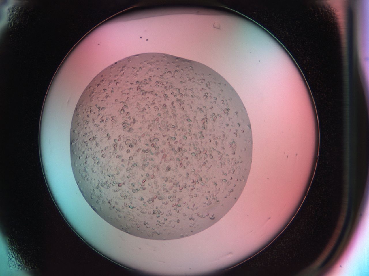 03zl_A4_ImagerDefaults_8.jpg