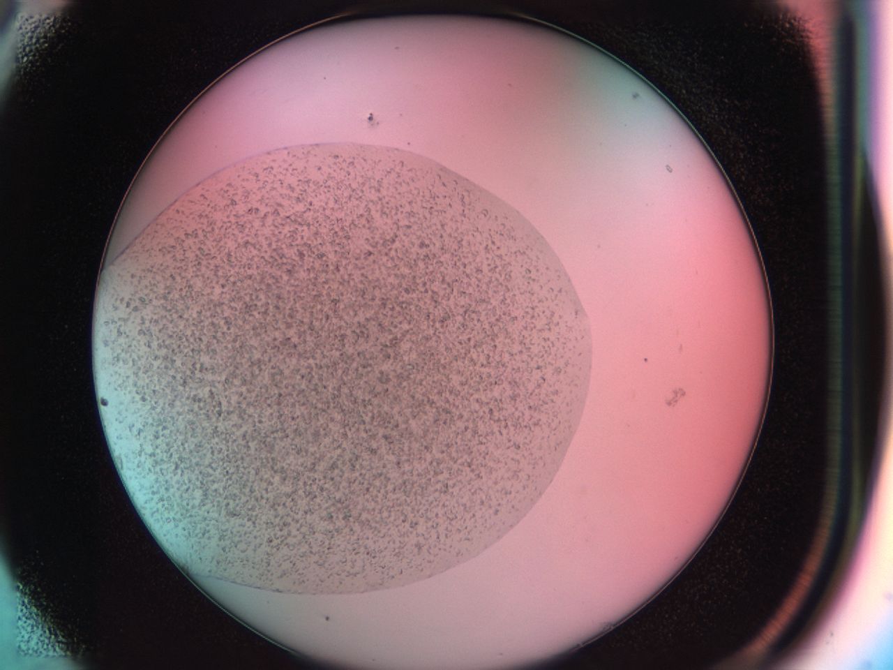 03zl_A5_ImagerDefaults_7.jpg